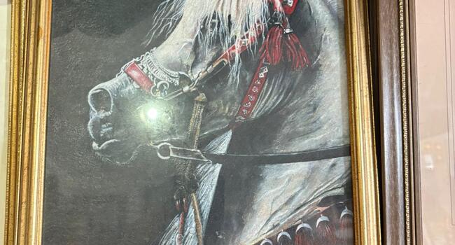 Pg-d5fd49a4-08ac-4e0b-a51c-4e1d72bd7f52